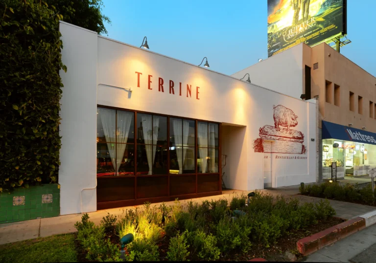 Terrine